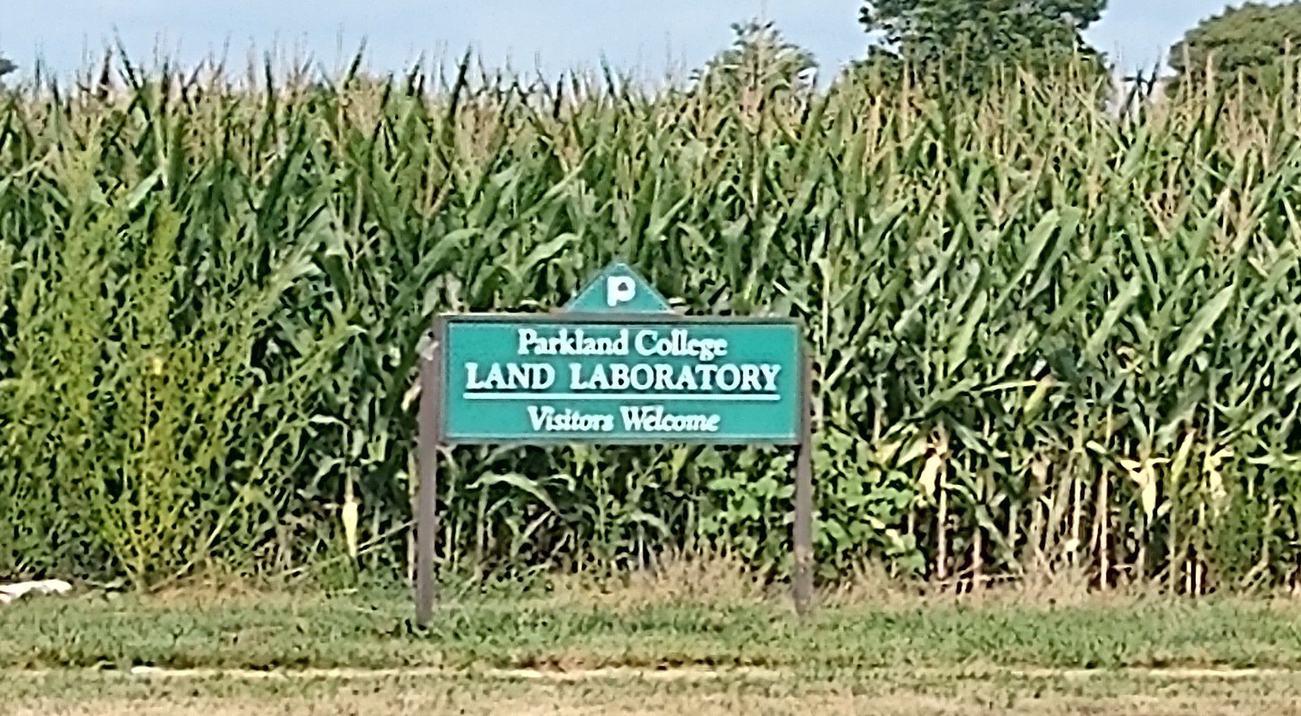 Parkland